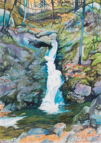 douglaswaynewilliamsonart