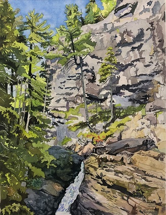 douglaswaynewilliamsonart