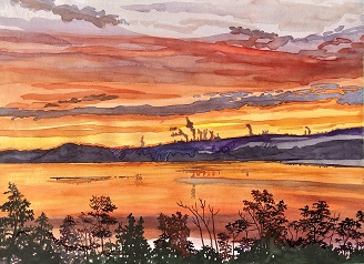 douglaswaynewilliamsonart